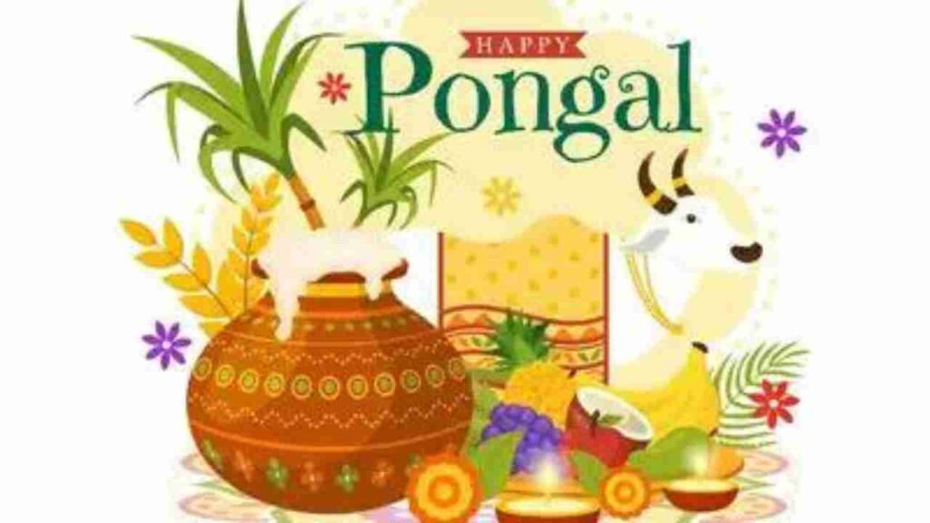 Pongal Festival 2024: Embracing Tradition, Harmony, and Abundance