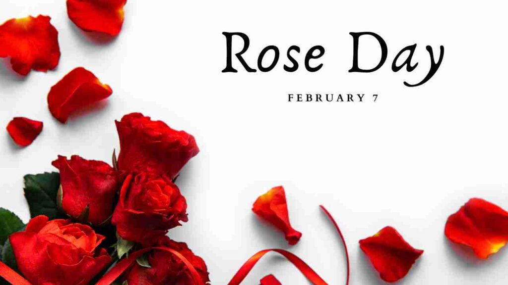 Rose Day: The Language of Love