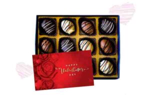Dalmond Truffles Handmade Almond Date Chocolates Gift Box and Chocolates Gift Pack for Valentines Day -12 Pcs, Assorted - Dark, Milk & White Chocolates...