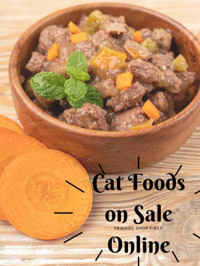Cat Foods On Sale At Discounted Prices