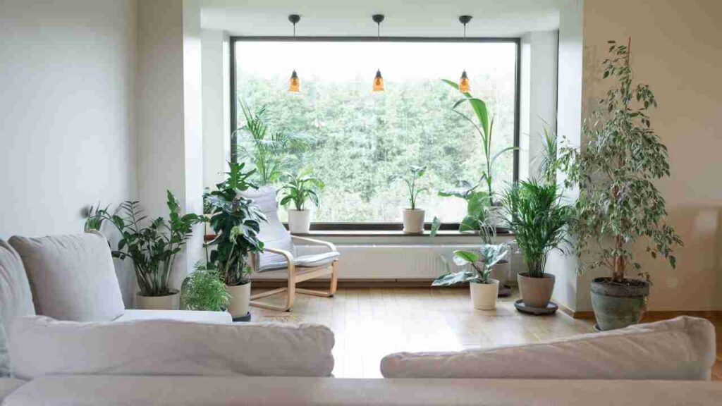 Beginner's Guide to Indoor Gardening for Small Spaces