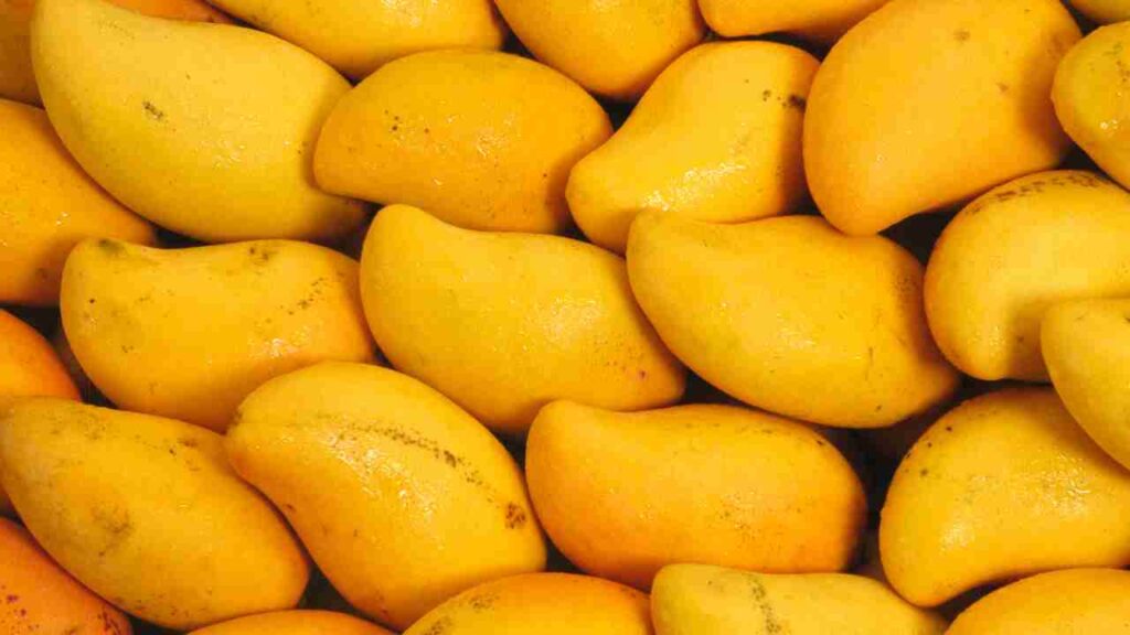 Early Arrival of Mangoes Delights Hyderabad : Prices Soar, Expected to Drop Soon