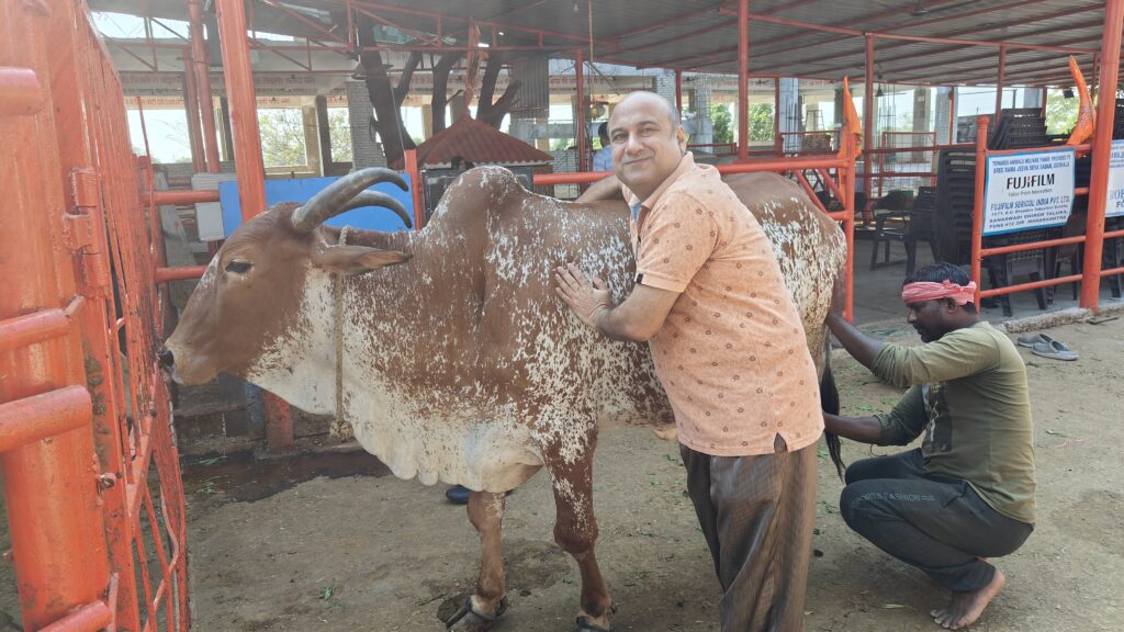 Explore Patancheru Goshala, a sanctuary for 400+ cows near Hyderabad. Learn about its mission, donate, and experience the tranquility. Find out how you can help Gomata today!