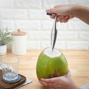 Easily open green coconuts with the Clazkit Stainless Steel Coconut Opener Tool. No knives, no mess—just pure coconut water in seconds! Click to know more!