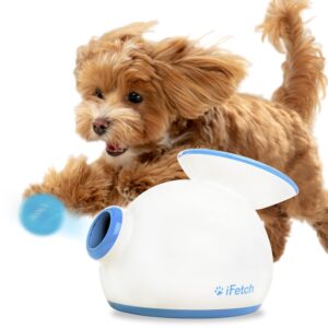 Discover the top 5 pet supplies from Amazon that every pet parent swears by! From grooming tools to interactive toys, upgrade your furry friend's life with these game-changing essentials.
