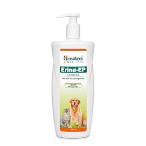 Discover the top 5 pet supplies from Amazon that every pet parent swears by! From grooming tools to interactive toys, upgrade your furry friend's life with these game-changing essentials.
