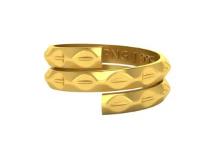 Looking for a secure, stylish, and prestigious gold investment? Discover why the PNG Jewellers 2 gm Vedhani Gold Coin is dominating Amazon’s Jewellery category and how it could be your best gifting or investment decision this year!
