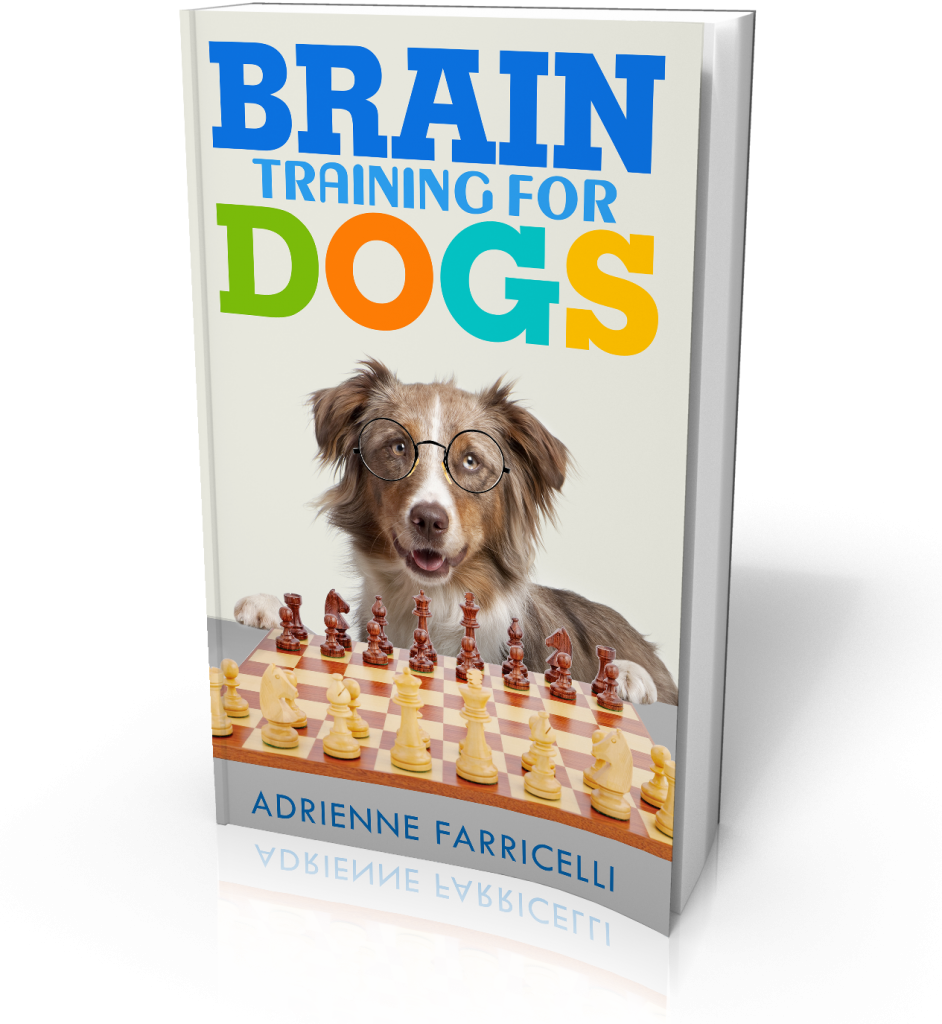 Brain Training 4 Dogs