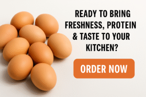 Discover why Fresh Eggs are trending across India. Learn about their nutritional power, taste, benefits, usage ideas, and why families prefer this 30-piece pack for daily meals. Read before you buy!