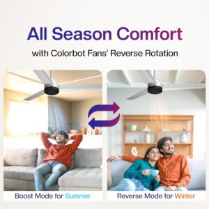 Discover why the Colorbot Stella BLDC Ceiling Fan is one of the most energy-efficient fans in India. 5-Star rated, remote control, reverse mode, and powerful airflow for modern homes.